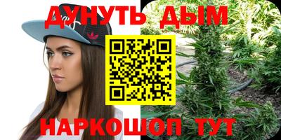 мдпв Дубна