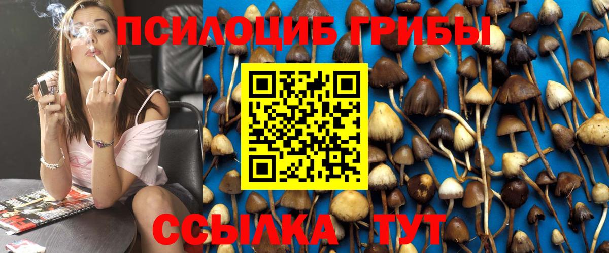 Псилоцибиновые грибы мухоморы Москва