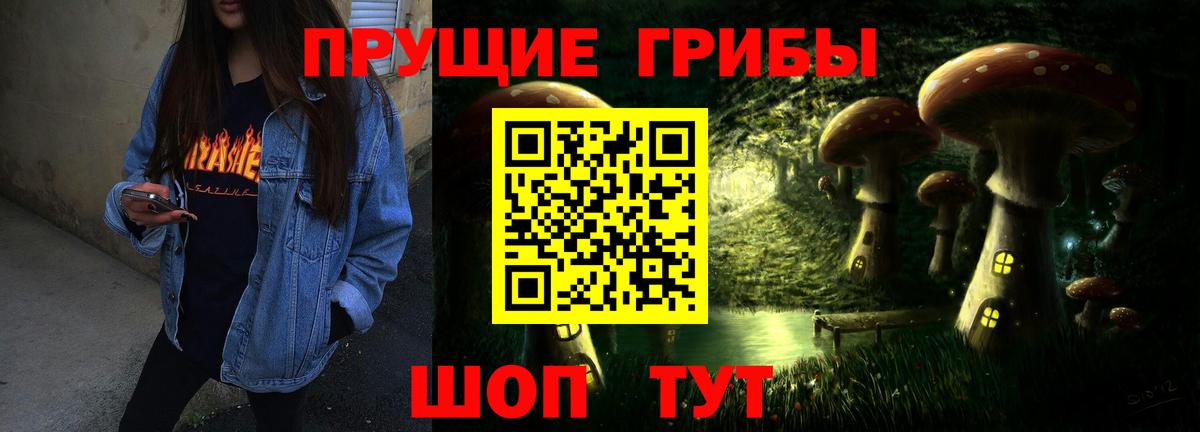 Москва  Галлюциногенные грибы Psilocybine cubensis  Вход с VPN 